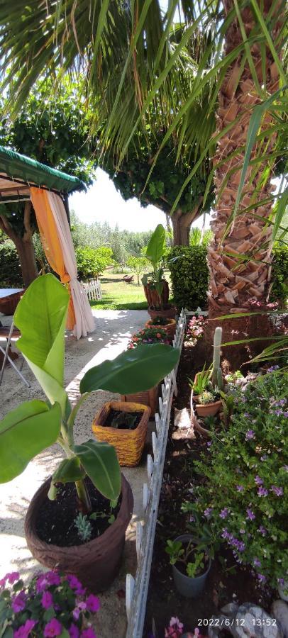 شقة كانالي  في Eirini House المظهر الخارجي الصورة